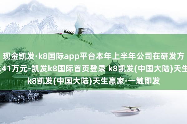 现金凯发·k8国际app平台本年上半年公司在研发方面过问了4083.41万元-凯发k8国际首页登录 k8凯发(中国大陆)天生赢家·一触即发