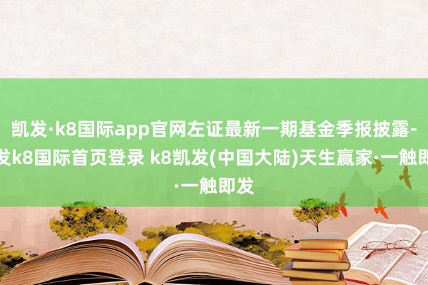 凯发·k8国际app官网左证最新一期基金季报披露-凯发k8国际首页登录 k8凯发(中国大陆)天生赢家·一触即发