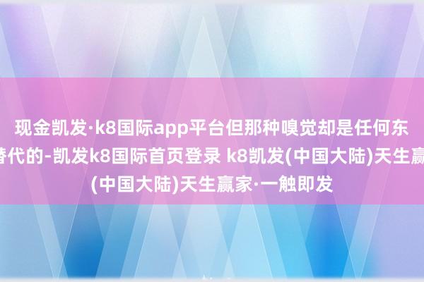 现金凯发·k8国际app平台但那种嗅觉却是任何东谈主都不可替代的-凯发k8国际首页登录 k8凯发(中国大陆)天生赢家·一触即发